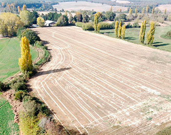 campo-san-fernando