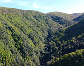 fundo-laguna